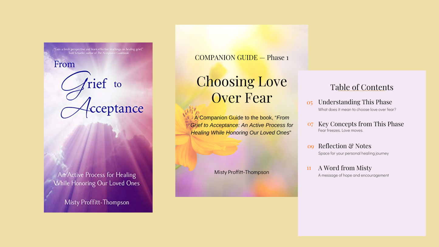 From Grief to Acceptance: Phase 1 Audio & Companion Guide